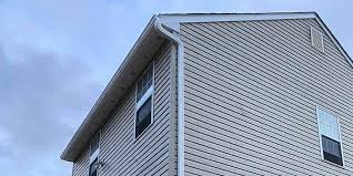 Best Vinyl Siding Installation  in Falmouth, KY